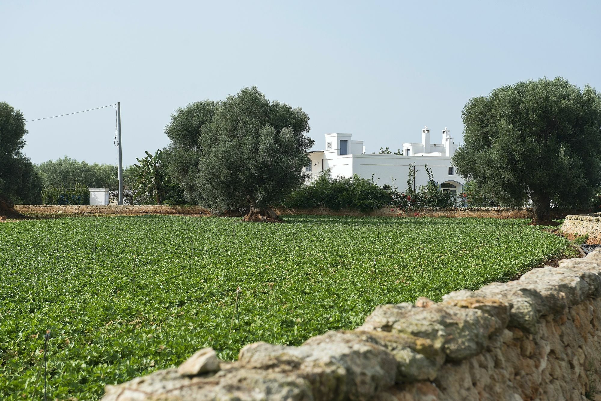 Masseria Don Luigi-Luxury Farmhouse Savelletri Екстер'єр фото